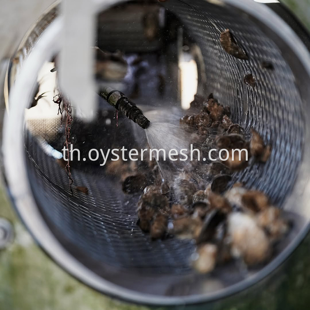 rolling design of oyster sorting machine (2)